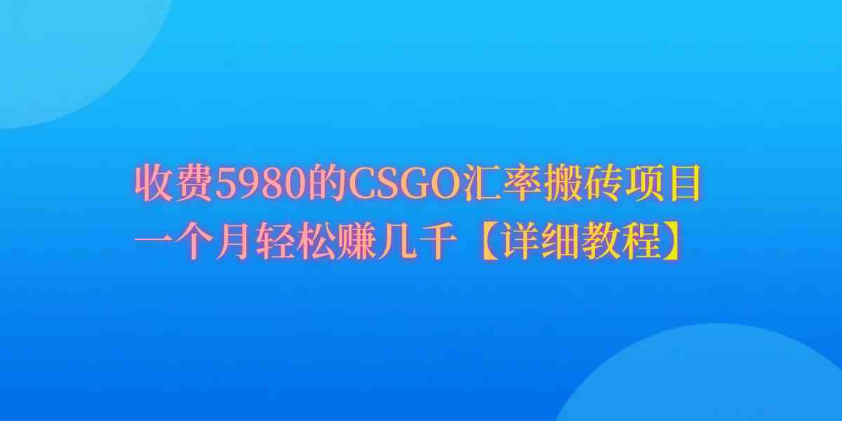 （9776期）CSGO装备搬砖，月综合收益率高达60%，你也可以！-喃哩哩