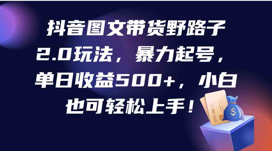 （9790期）抖音图文带货野路子2.0玩法，暴力起号，单日收益500+，小白也可轻松上手！-喃哩哩