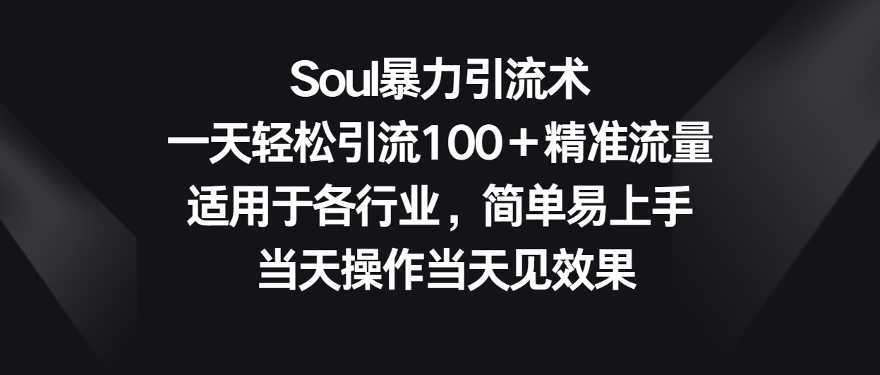 Soul暴力引流术，一天轻松引流100＋精准流量，适用于各行业，简单易上手！-喃哩哩