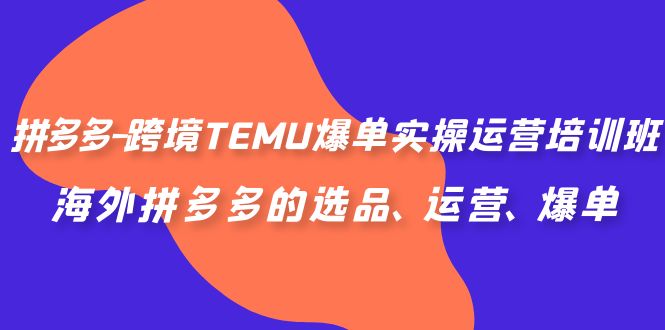 拼多多-跨境TEMU爆单实操运营培训班，海外拼多多的选品、运营、爆单-喃哩哩