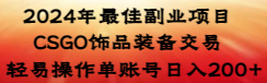 2024年最佳副业项目 CSGO饰品装备交易 轻易操作单账号日入200+-喃哩哩