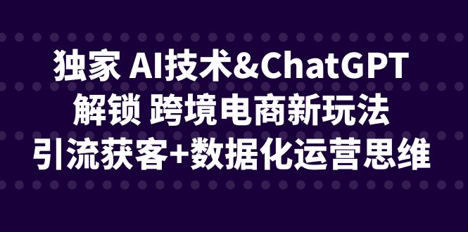 独家 AI技术&ChatGPT解锁 跨境电商新玩法，引流获客+数据化运营思维-喃哩哩