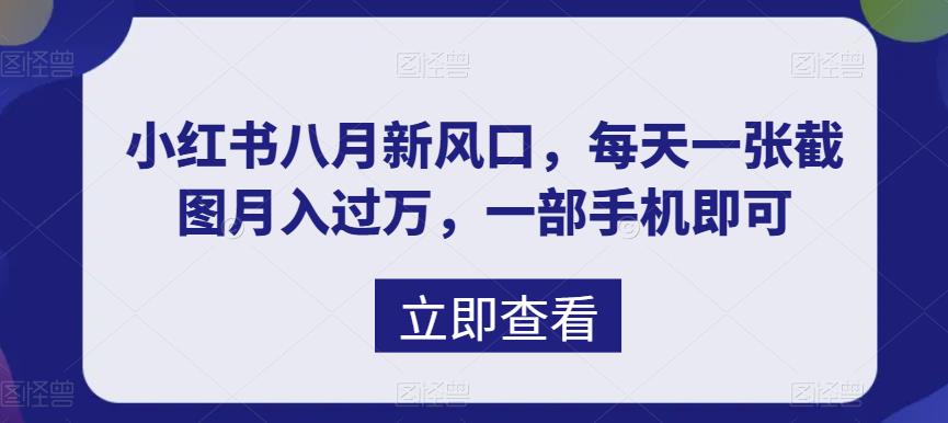 八月新风口，小红书虚拟项目一天收入1000+，实战揭秘-喃哩哩