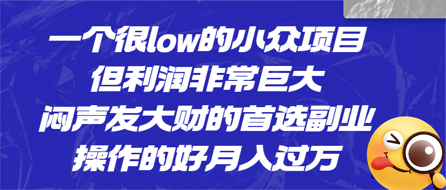 一个很low的小众项目，但利润非常巨大，闷声发大财的首选副业，月入过万-喃哩哩