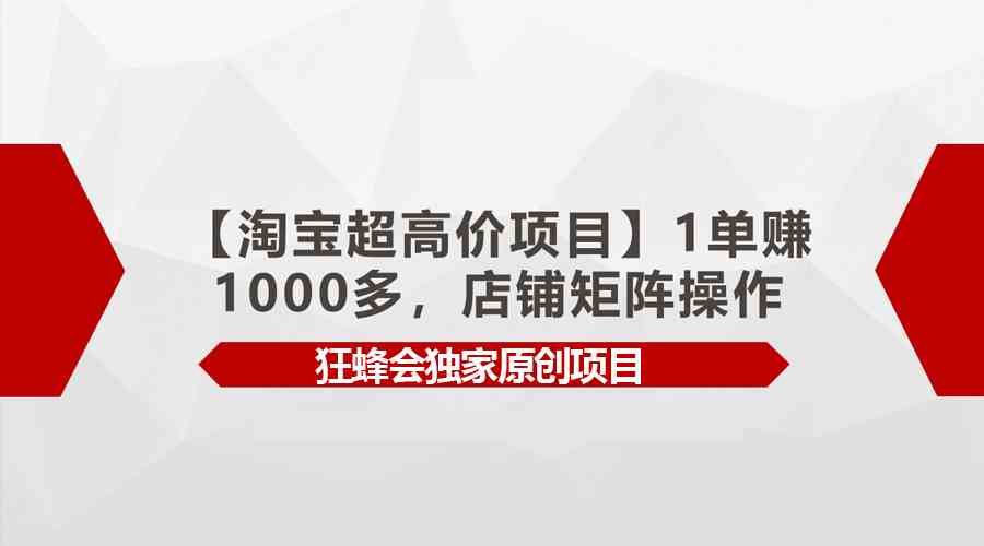 （9849期）【淘宝超高价项目】1单赚1000多，店铺矩阵操作-喃哩哩