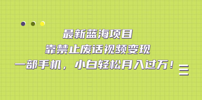 最新蓝海项目，靠禁止废话视频变现，一部手机，小白轻松月入过万！-喃哩哩