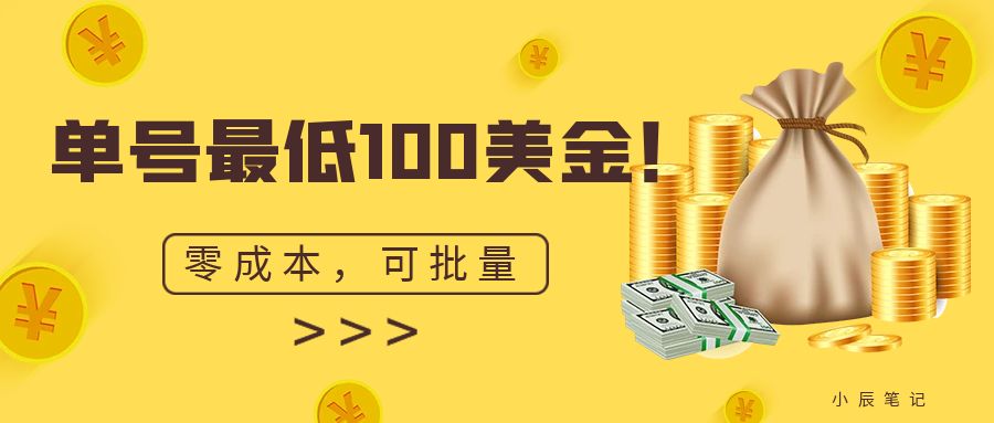 单号最低100美金，零成本，小白无脑操作。可复制，可扩大。-喃哩哩
