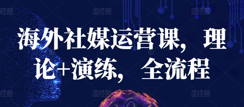 海外社媒运营课，理论+演练，全流程-喃哩哩