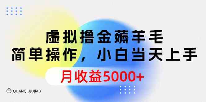 （9864期）虚拟撸金薅羊毛，简单操作，小白当天上手，月收益5000+-喃哩哩