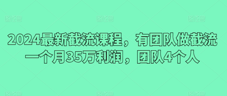 2024最新截流课程，有团队做截流一个月35万利润，团队4个人-喃哩哩