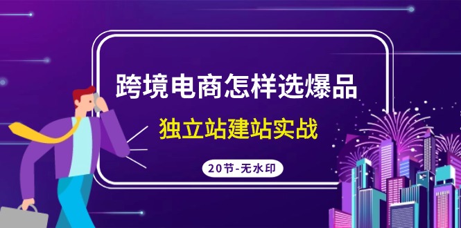 跨境电商怎样选爆品，独立站建站实战（20节高清课）-喃哩哩