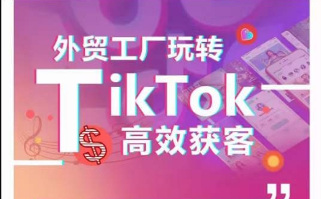 外贸工厂玩转TikTok高效获客，多种引流方式与账号定位技巧，拆解爆款短视频打造成功案例-喃哩哩