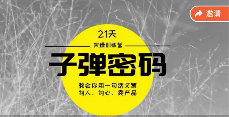 《子弹密码训练营》用一句话文案勾人勾心卖产品，21天学到顶尖文案大师策略和技巧-喃哩哩