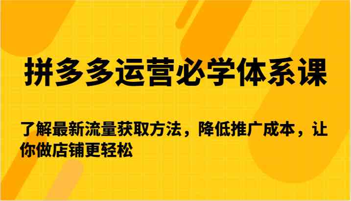 拼多多运营必学体系课-了解最新流量获取方法，降低推广成本，让你做店铺更轻松-喃哩哩