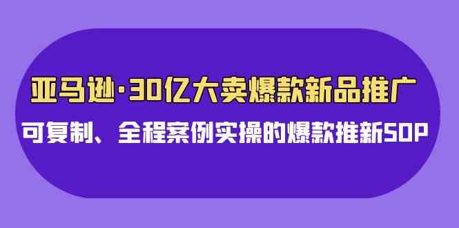 （9944期）亚马逊30亿·大卖爆款新品推广，可复制、全程案例实操的爆款推新SOP-喃哩哩