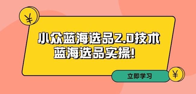 拼多多培训第33期：小众蓝海选品2.0技术-蓝海选品实操！-喃哩哩