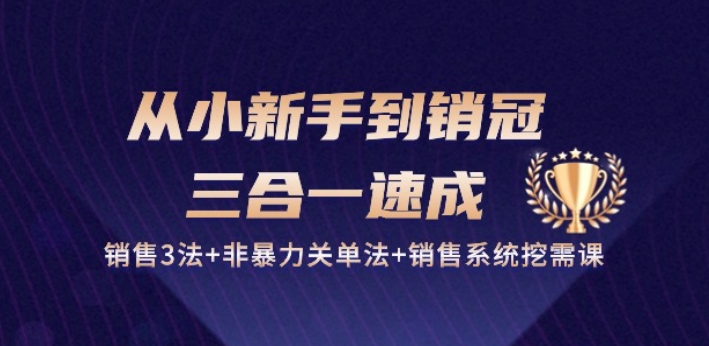 从小新手到销冠 三合一速成：销售3法+非暴力关单法+销售系统挖需课 (27节)-喃哩哩