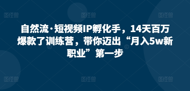 自然流·短视频IP孵化手，14天百万爆款了训练营，带你迈出“月入5w新职业”第一步-喃哩哩