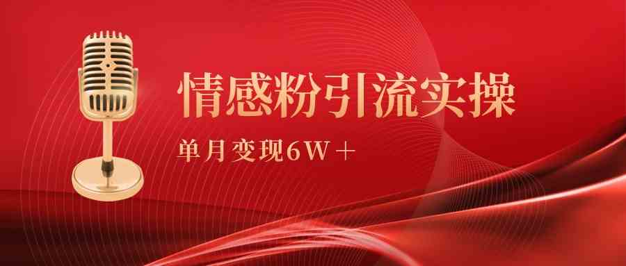 （9473期）单月变现6w+，情感粉引流变现实操课-喃哩哩
