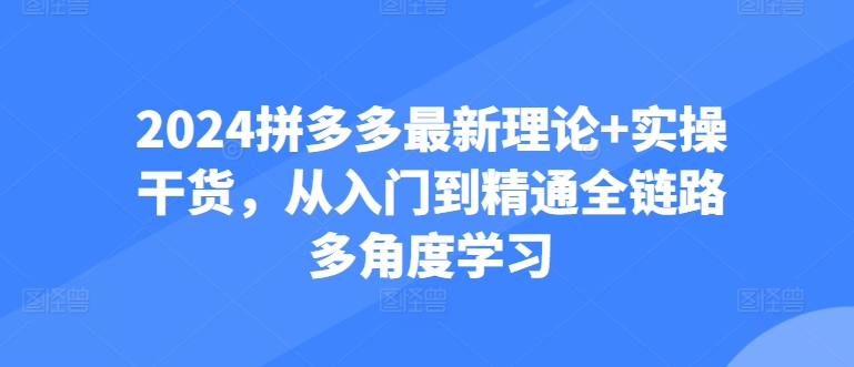 2024拼多多最新理论+实操干货，从入门到精通全链路多角度学习-喃哩哩
