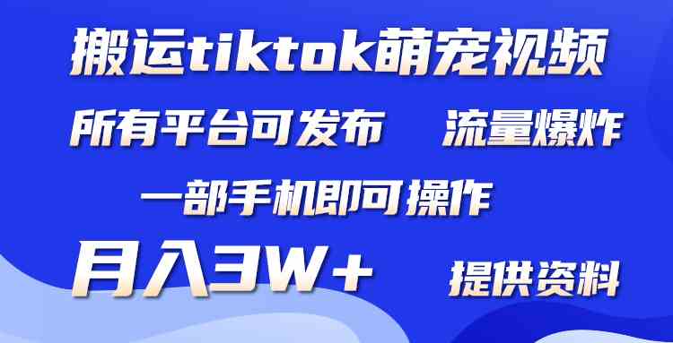 （9618期）搬运Tiktok萌宠类视频，一部手机即可。所有短视频平台均可操作，月入3W+-喃哩哩