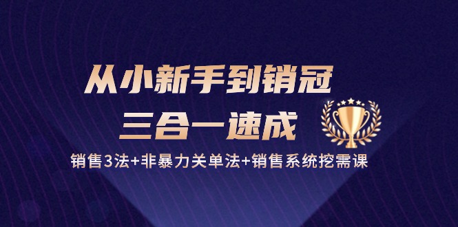 （10799期）从小新手到销冠 三合一速成：销售3法+非暴力关单法+销售系统挖需课 (27节)-喃哩哩