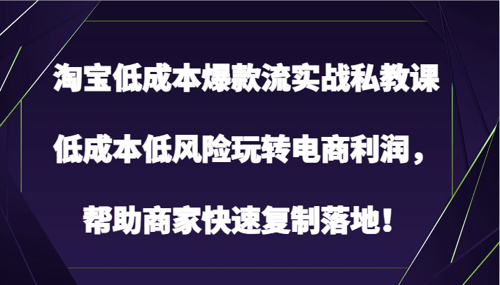 淘宝低成本爆款流实战私教课，低成本低风险玩转电商利润，帮助商家快速复制落地！-喃哩哩