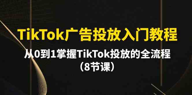 TikTok广告投放入门教程，从0到1掌握TikTok投放的全流程（8节课）-喃哩哩