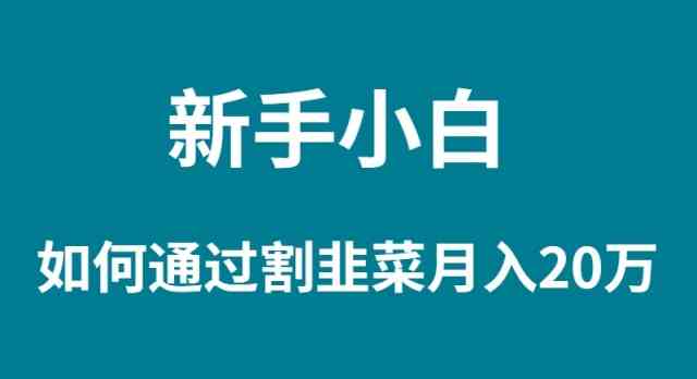 （9308期）新手小白如何通过割韭菜月入 20W-喃哩哩
