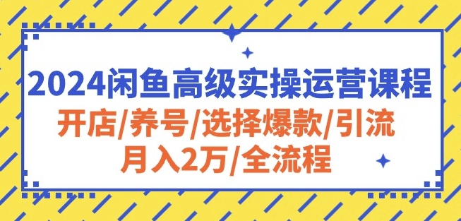 2024闲鱼高级实操运营课程：开店/养号/选择爆款/引流/月入2万/全流程-喃哩哩