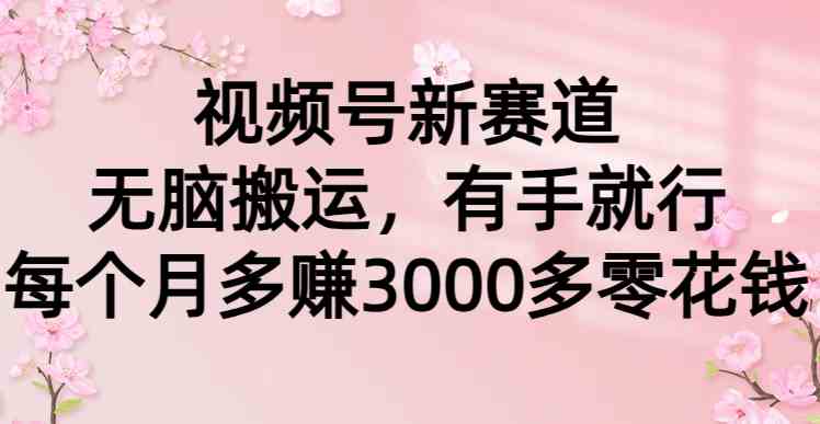 （9277期）视频号新赛道，无脑搬运，有手就行，每个月多赚3000多零花钱-喃哩哩