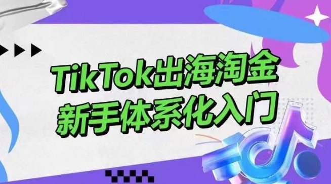 TikTok出海淘金，新手体系化入门，零基础快速入门，掌握短视频、直播带货等引流到变现的知识-喃哩哩