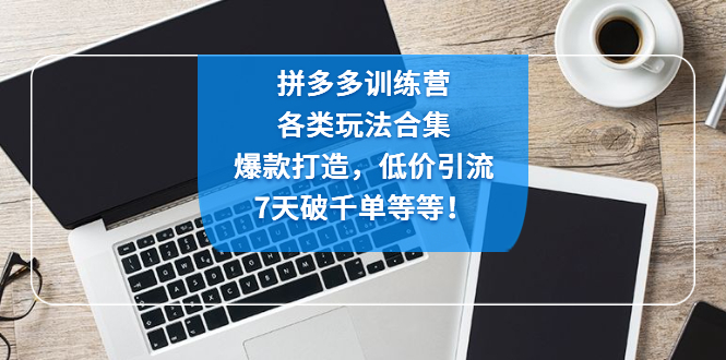 拼多多训练营：各玩法合集，爆款打造，低价引流，7天破千单等等！-喃哩哩