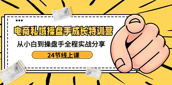 电商私域-操盘手成长特训营：从小白到操盘手全程实战分享-24节线上课-喃哩哩