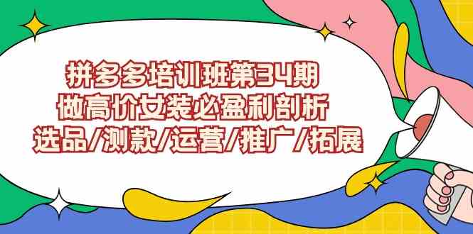 （9333期）拼多多培训班第34期：做高价女装必盈利剖析  选品/测款/运营/推广/拓展-喃哩哩