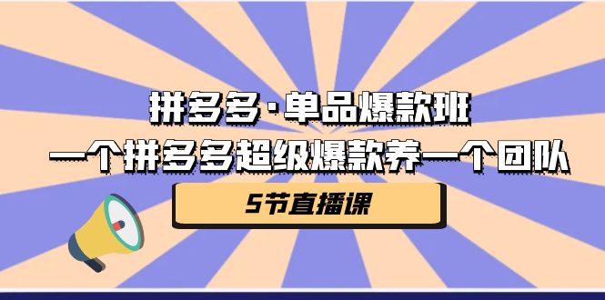 拼多多·单品爆款班，一个拼多多超级爆款养一个团队（5节直播课）-喃哩哩