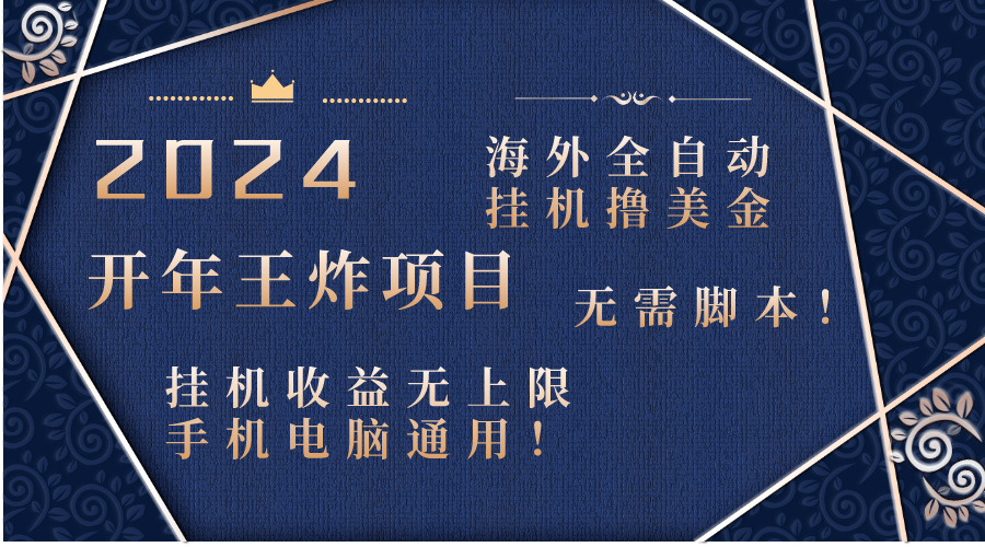 2024海外全自动挂机撸美金项目！手机电脑均可，无需脚本，收益无上限！-喃哩哩