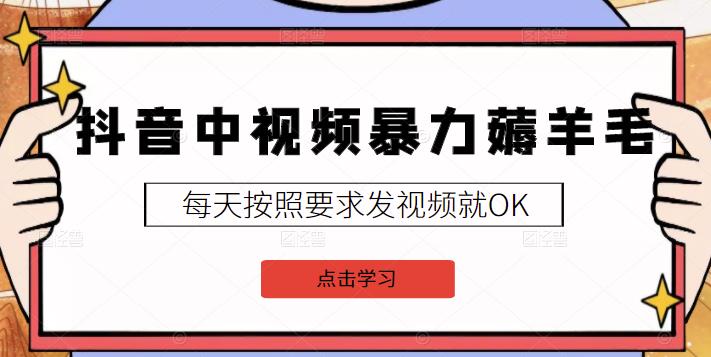 2022抖音中视频暴力薅羊毛白嫖项目：新号每天20块，老号几天几百块，可多号￼-喃哩哩