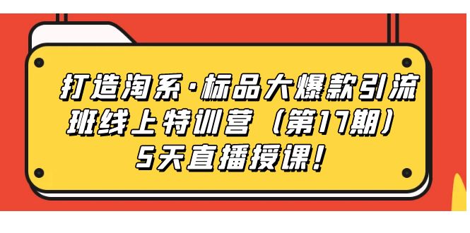 打造淘系·标品大爆款引流班线上特训营（第17期）5天直播授课！-喃哩哩