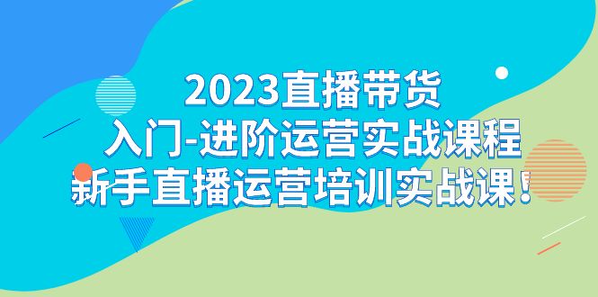 2023直播带货入门-进阶运营实战课程：新手直播运营培训实战课！-喃哩哩