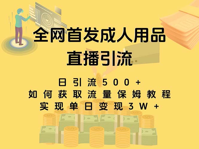 最新全网独创首发，成人用品直播引流获客暴力玩法，单日变现3w保姆级教程-喃哩哩