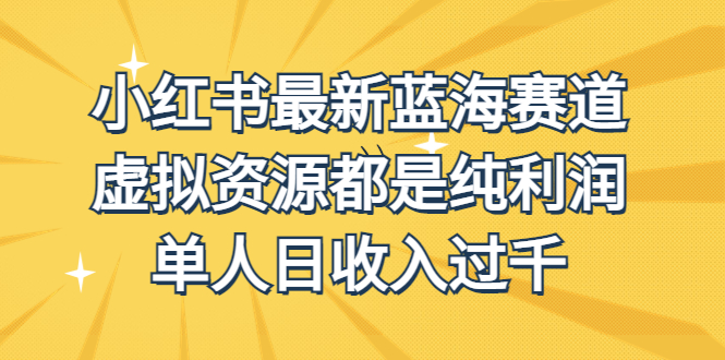 外面收费1980的小红书最新蓝海赛道，虚拟资源都是纯利润，单人日收入过千-喃哩哩