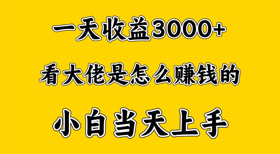一天赚3000多，大佬是这样赚到钱的，小白当天上手，穷人翻身项目-喃哩哩