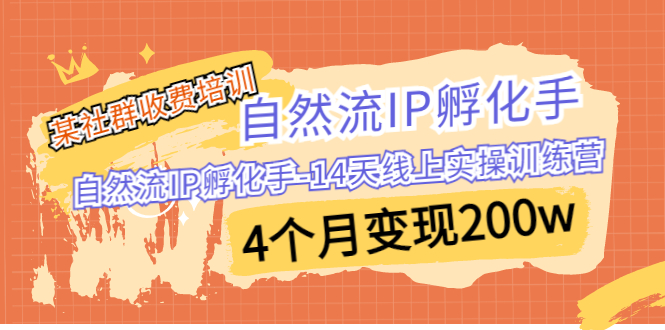 某社群收费培训：自然流IP 孵化手-14天线上实操训练营 4个月变现200w-喃哩哩