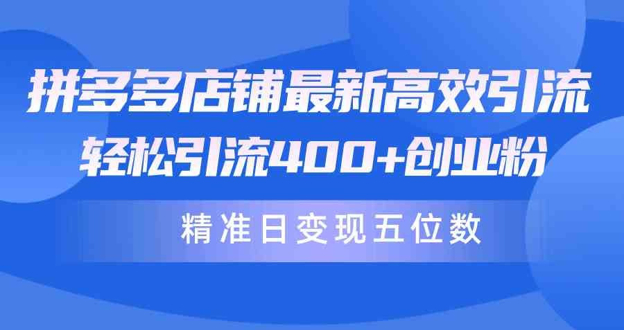 （10041期）拼多多店铺最新高效引流术，轻松引流400+创业粉，精准日变现五位数！-喃哩哩
