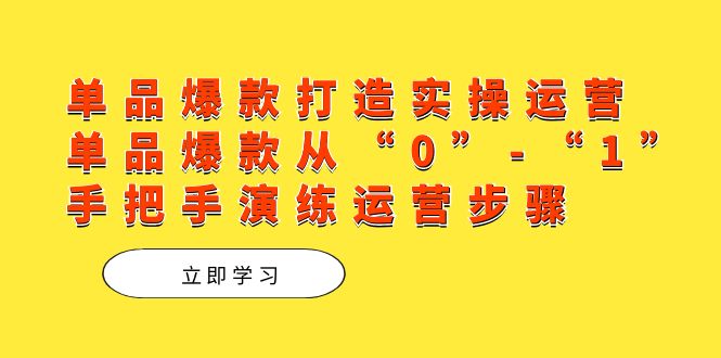 单品爆款打造实操运营，单品爆款从“0”-“1”手把手演练运营步骤-喃哩哩