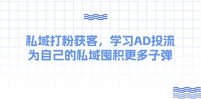 （10728期）某收费课：私域打粉获客，学习AD投流，为自己的私域囤积更多子弹-喃哩哩