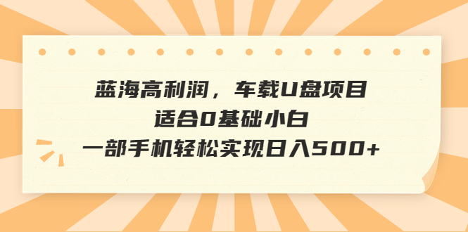蓝海高利润，车载U盘项目，适合0基础小白，一部手机轻松实现日入500+-喃哩哩