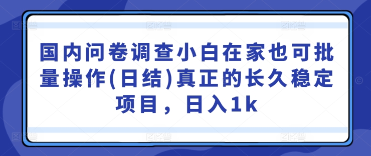 国内问卷调查小白在家也可批量操作(日结)真正的长久稳定项目，日入1k【揭秘】-喃哩哩