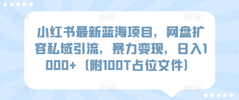 小红书最新蓝海项目，网盘扩容私域引流，暴力变现，日入1000+（附100T占位文件）-喃哩哩